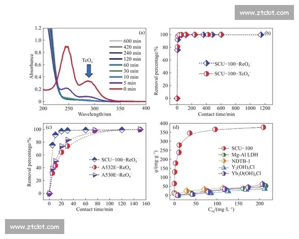 全民参与视角下的业余体育发展现状与未来趋势探索七年变革路径研究